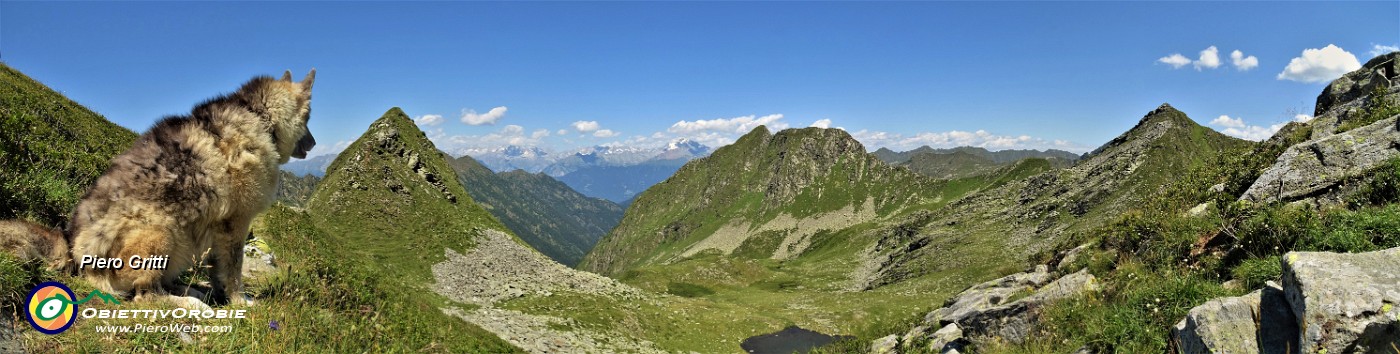 63 Vista panoramica dalla Bocchetta di Budria (2216 m) verso la Orobie Valtellinesi e le Alpi Retiche.jpg